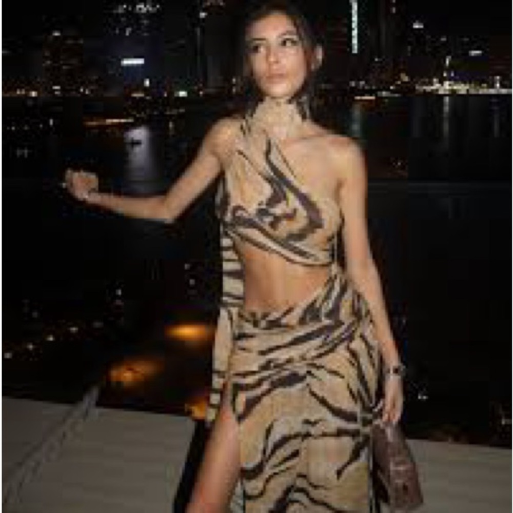 Ronny kobo One-Shoulder Tiger Print Maxi Dress $598 - Picture 3 of 3